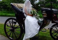 Blakewell Horse Drawn Wedding Carriage Hire 1067336 Image 1